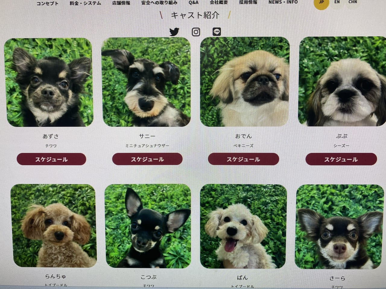 2023年犬カフェRio宮崎店のキャスト①