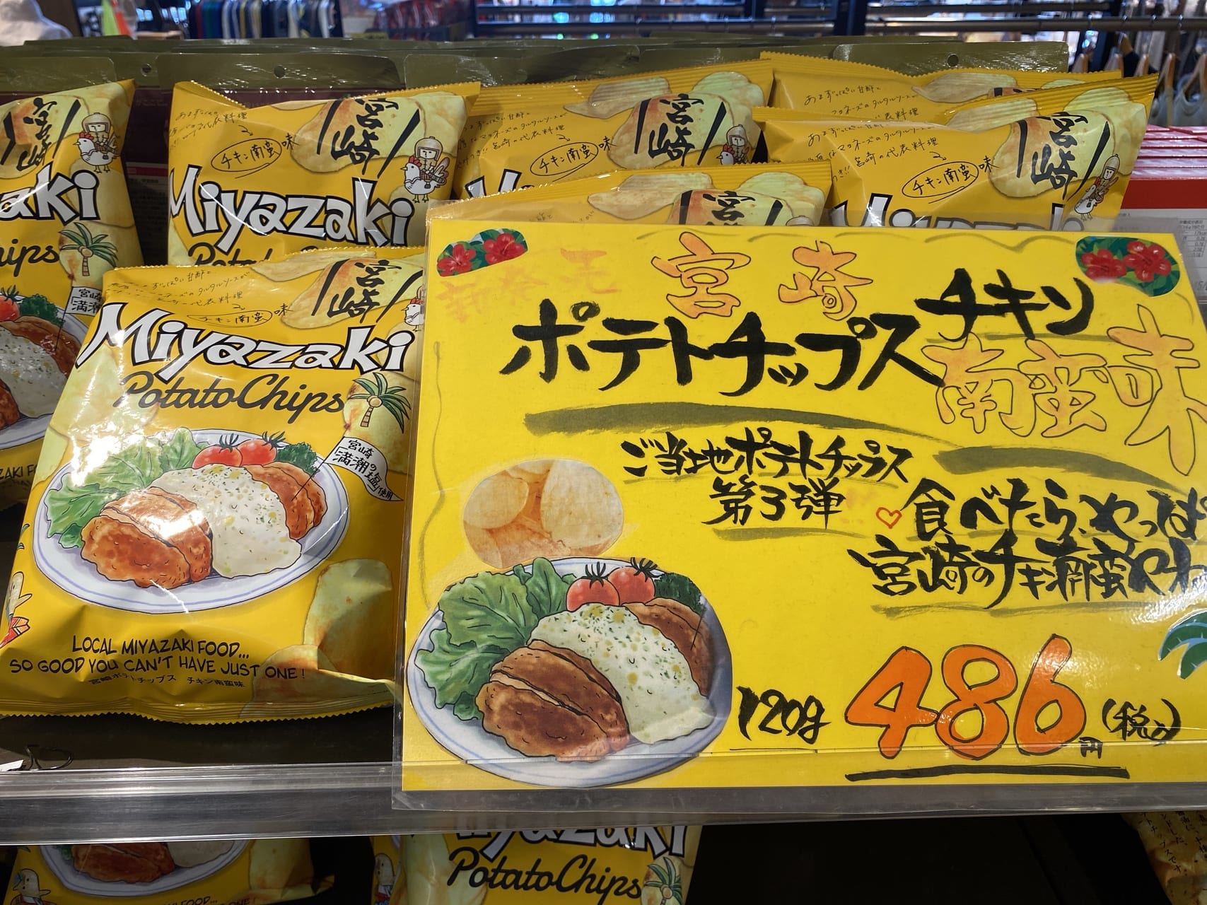 宮崎市青島 青島土産 チキン南蛮チップス