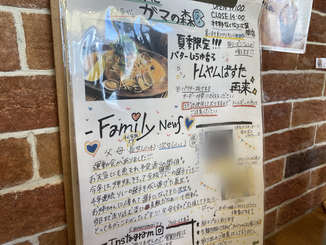 宮崎市パスタ店 わふうぱすた ガマの森 ガマの森新聞