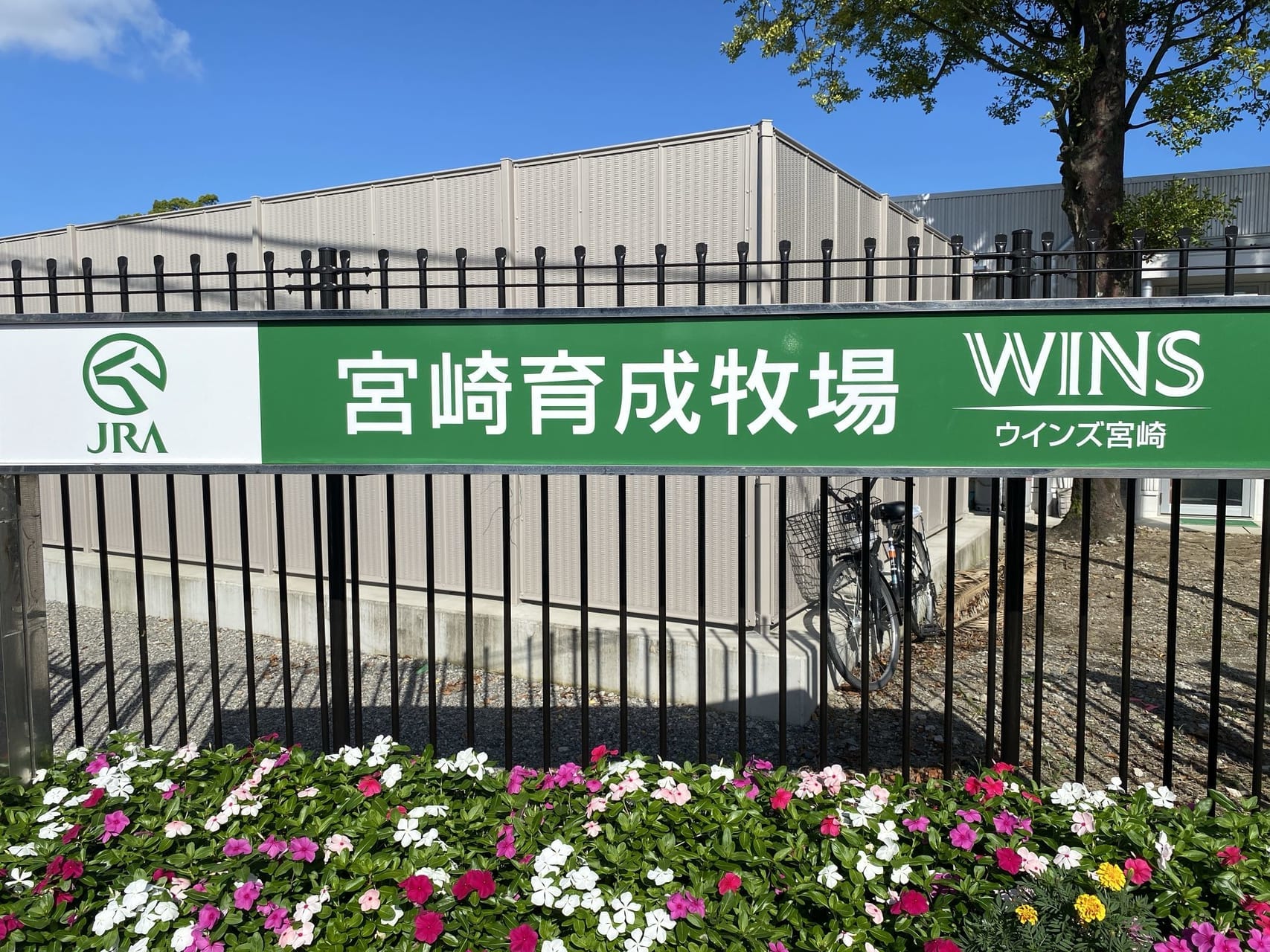 宮崎市花ヶ島町 JRA 宮崎育成牧場WINS宮崎5