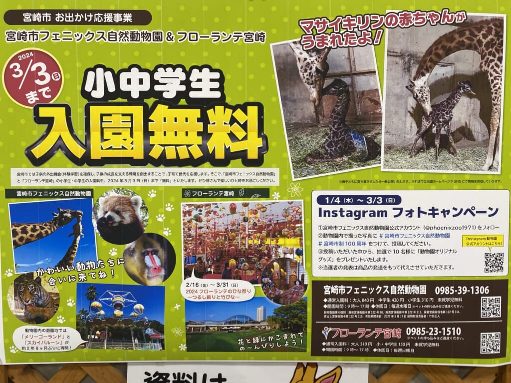 宮崎市イベント 宮崎市フェニックス自然動物園 お出かけ応援事業 小中学生入園無料 画像2