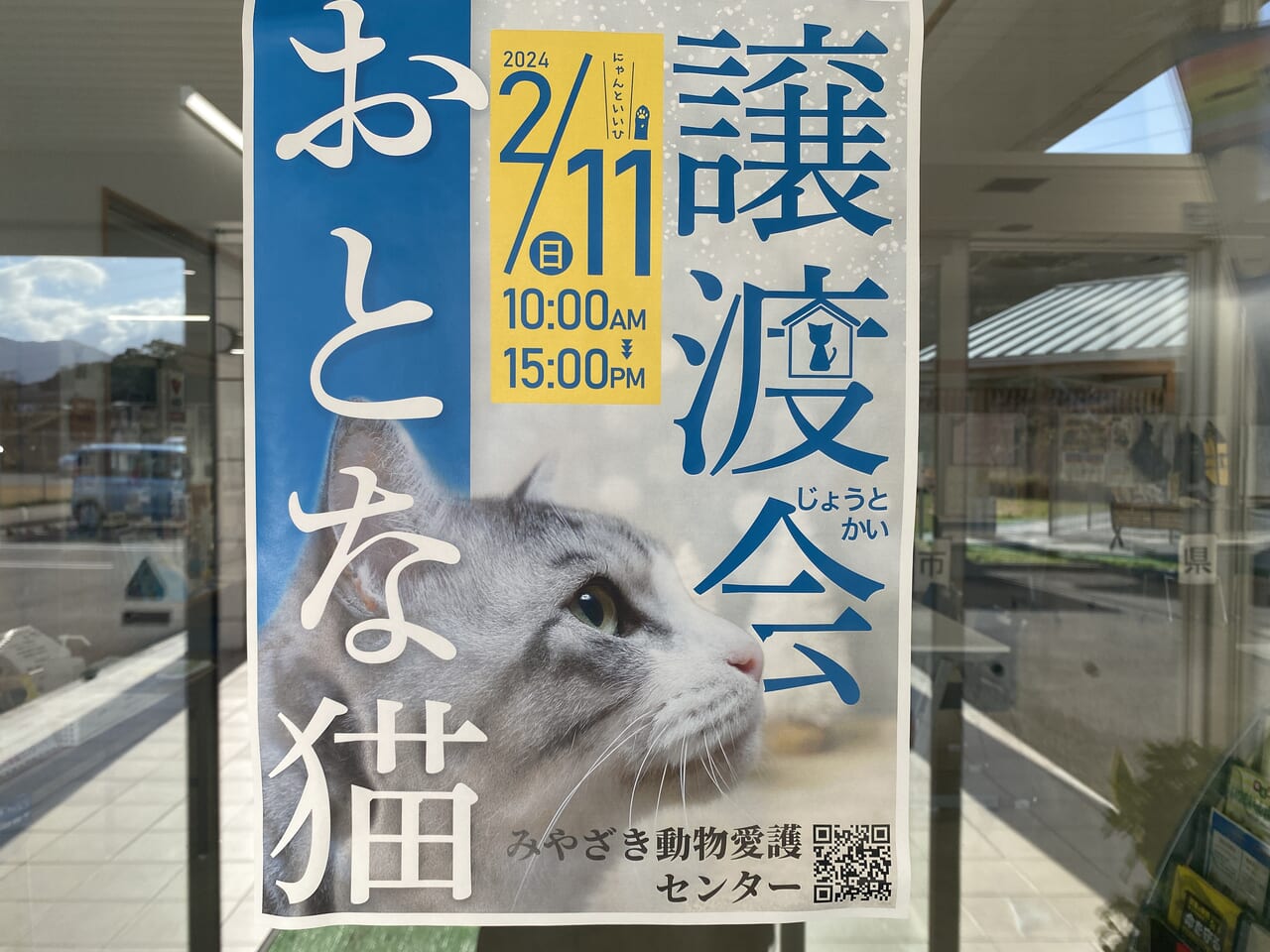 宮崎市イベント みやざき動物愛護センター おとな猫譲渡会 画像2