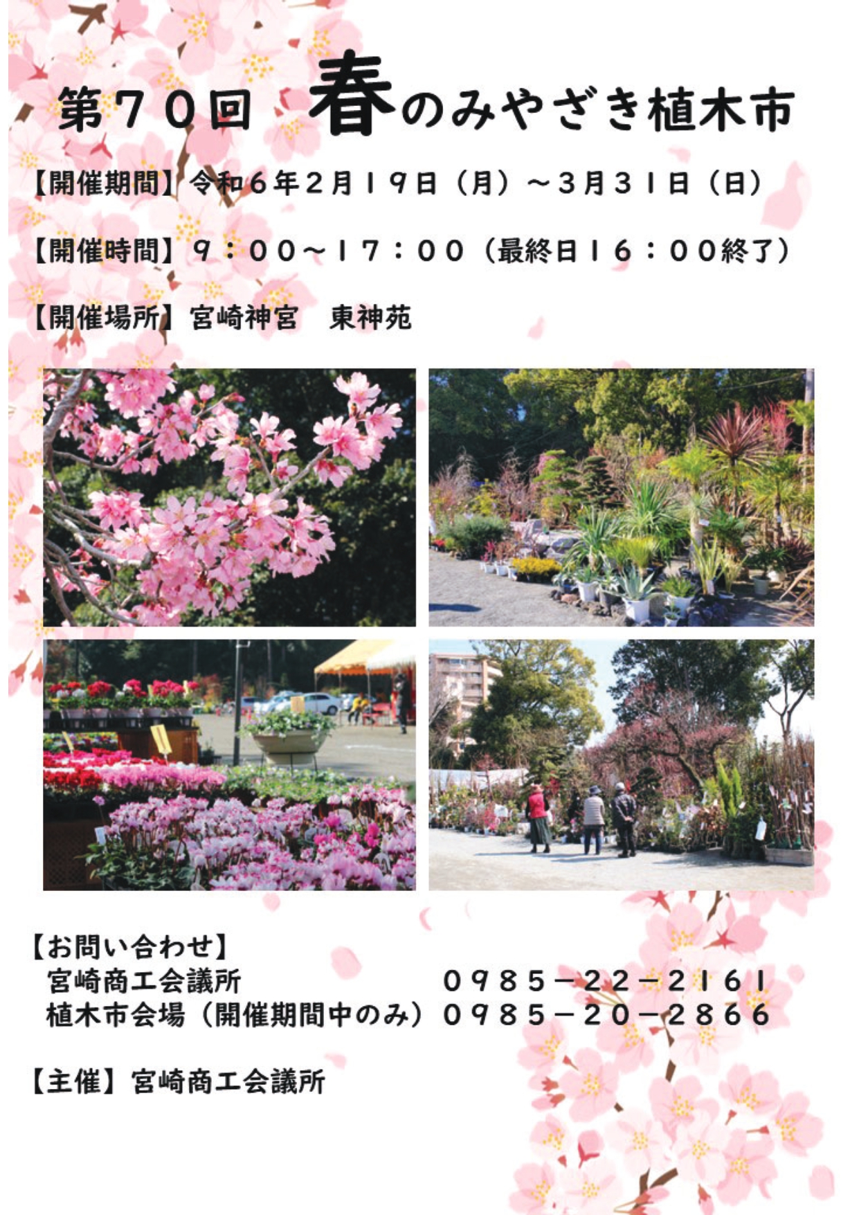 宮崎市イベント 宮崎神宮 東神苑 第70回 春のみやざき植木市 画像6