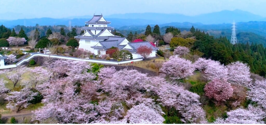 宮崎市イベント 高岡町 天ヶ城開門さくらまつり 画像4