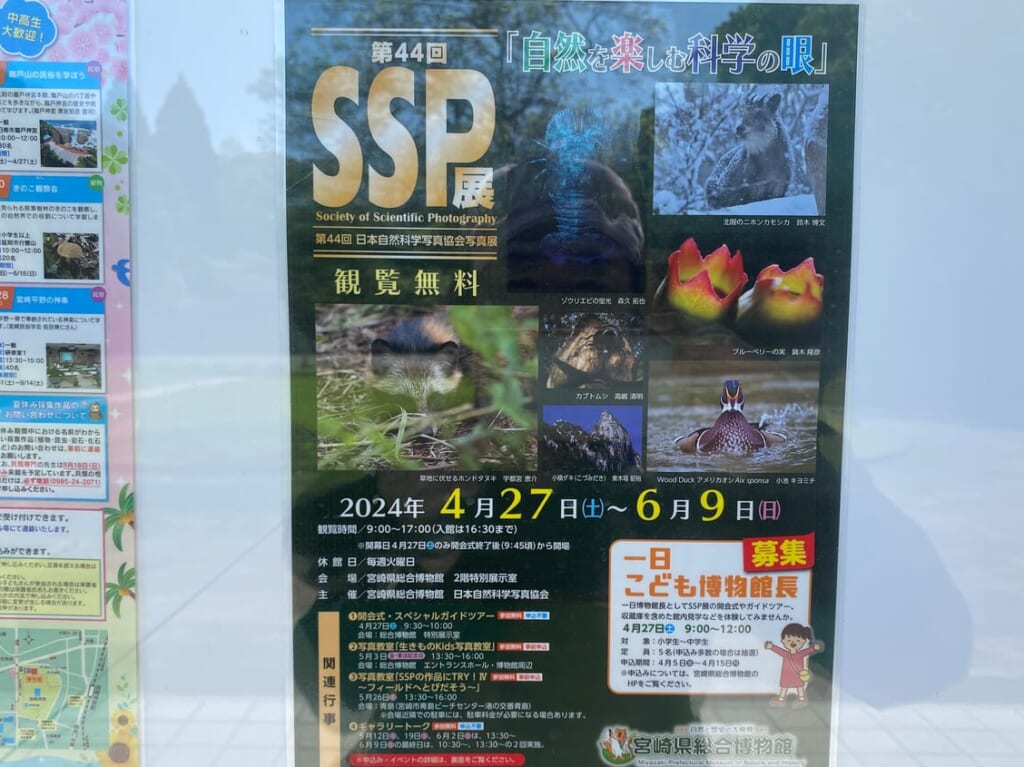 宮崎市イベント 宮崎県総合博物館 第44回 SSP展（日本自然科学写真協会写真展）画像3