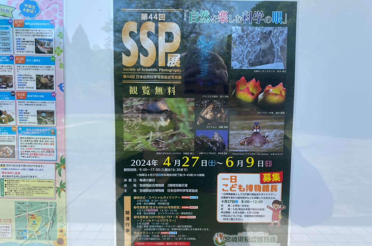 宮崎市イベント 宮崎県総合博物館 第44回 SSP展（日本自然科学写真協会写真展）画像3