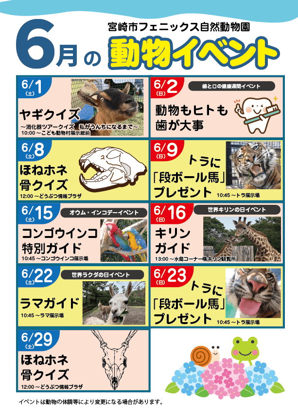 宮崎市イベント 宮崎市フェニックス自然動物園 宮崎市民感謝月間 画像3