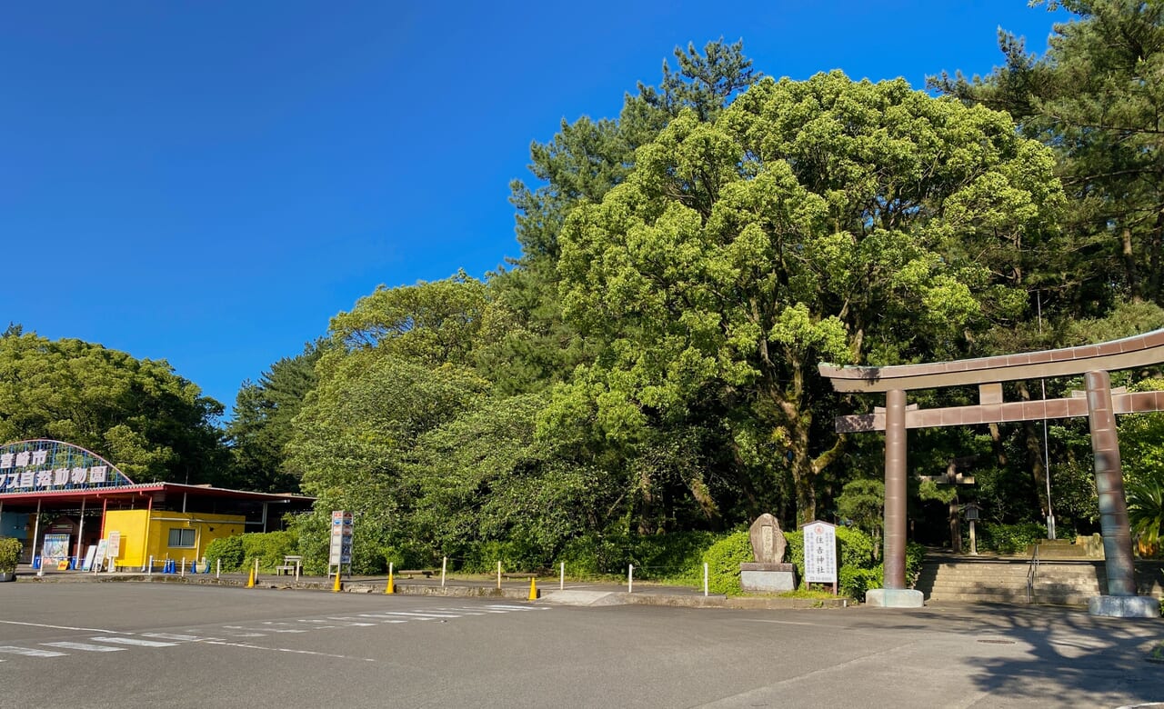 宮崎市イベント 住吉神社 神様のごちそうマルシェ 画像4