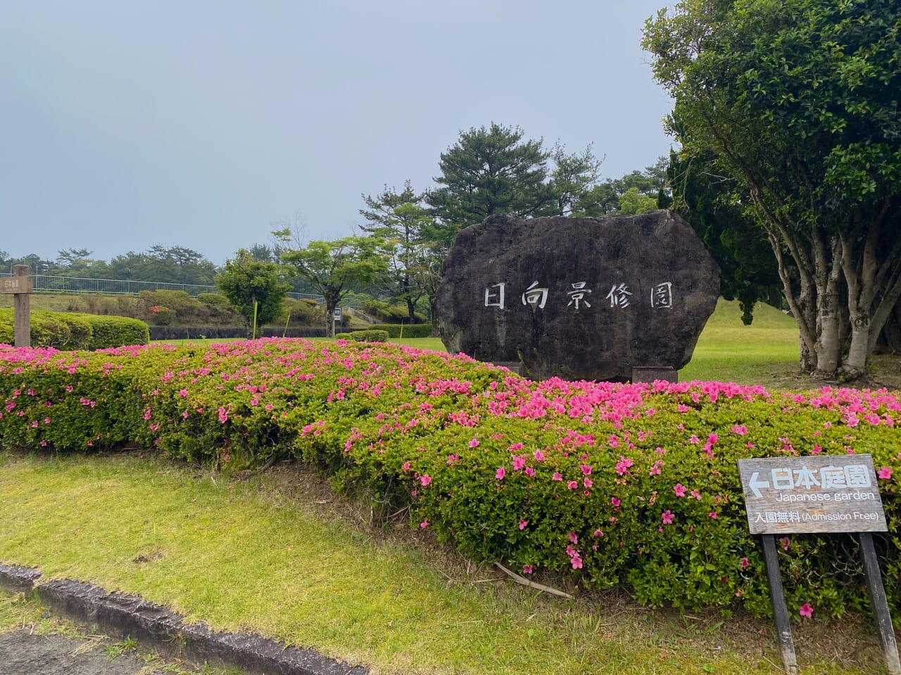 宮崎市イベント ひなた宮崎県総合運動公園 春のお茶会 画像4