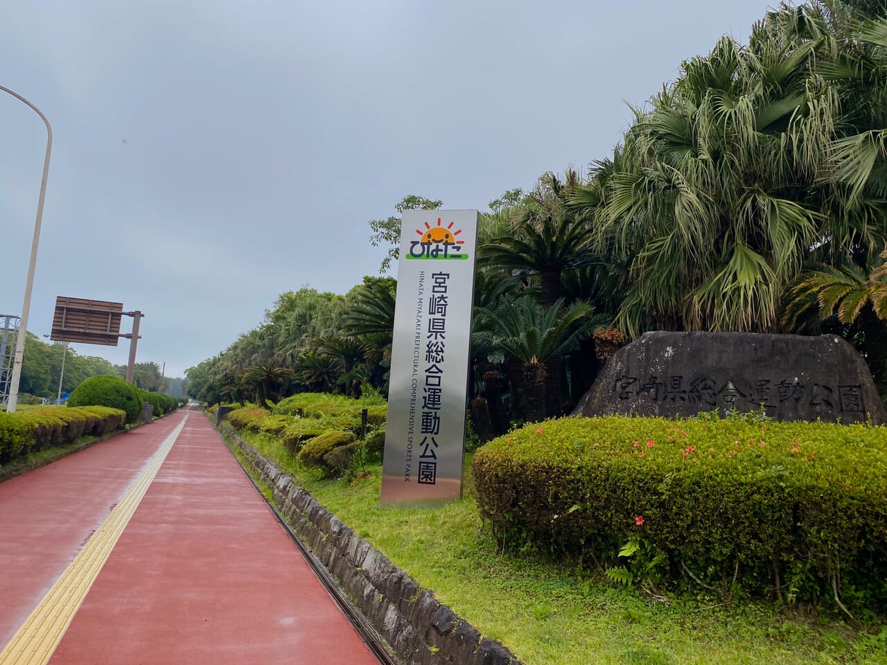 宮崎市イベント ひなた宮崎県総合運動公園 春のお茶会 画像5