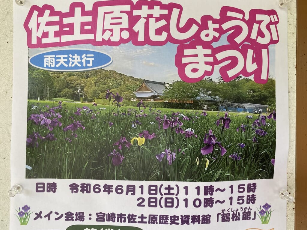 宮崎市イベント 佐土原町 宮崎市佐土原歴史資料館 佐土原花しょうぶまつり 画像9