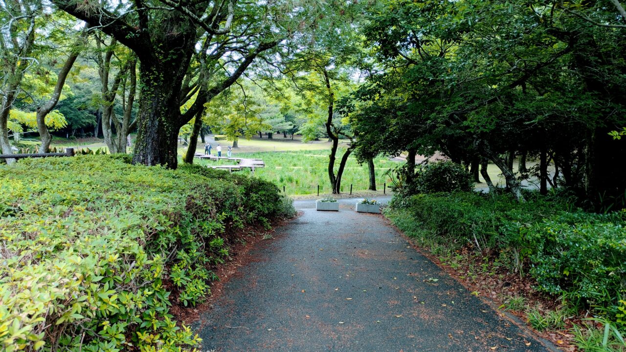 市民の森