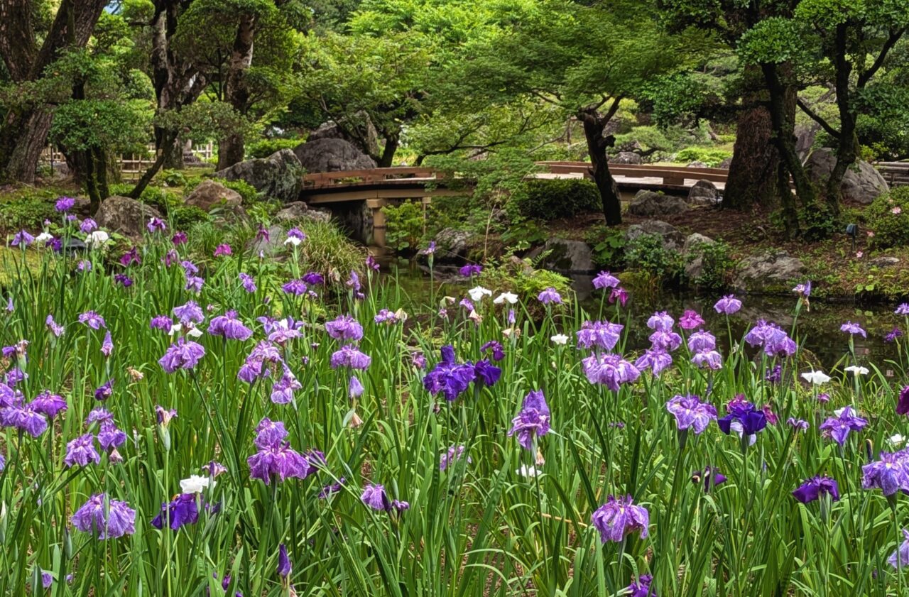 日向景修園