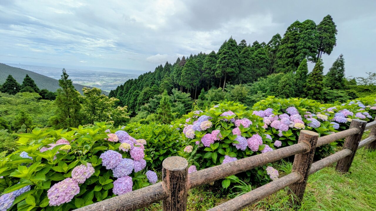 荒平山森林公園