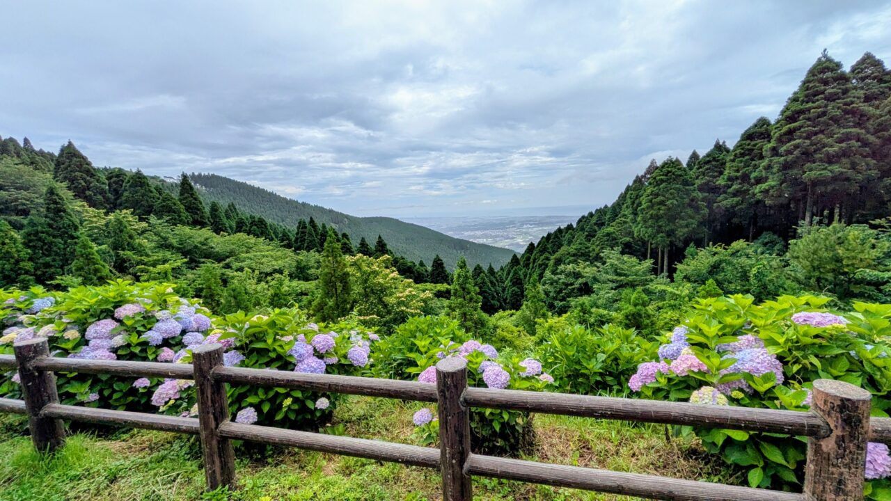 荒平山森林公園