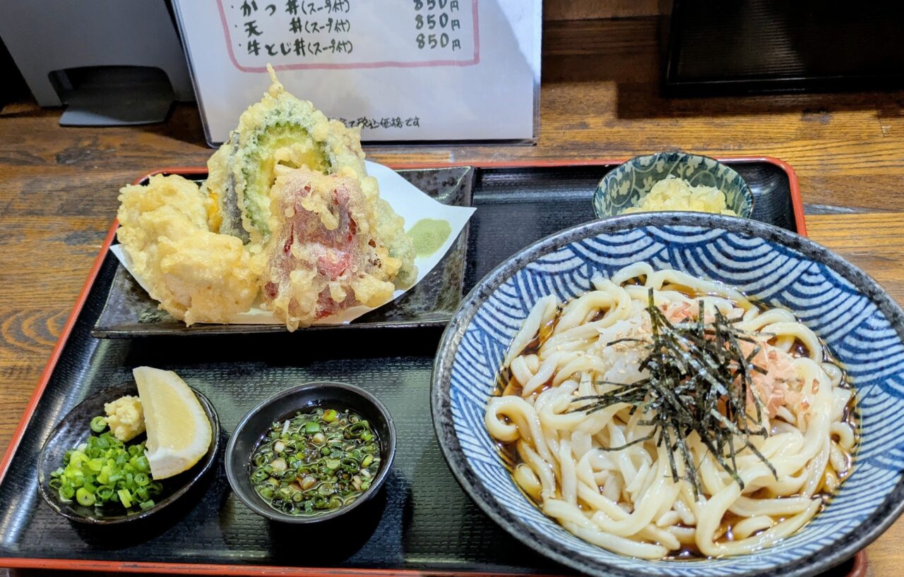 手打ちうどん げん天