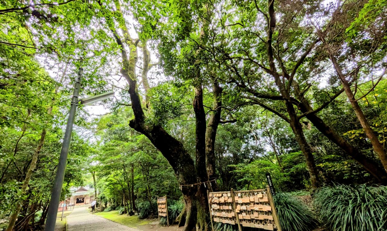 江田神社