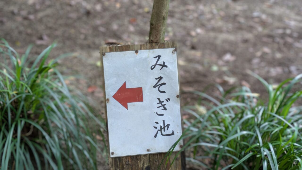 江田神社 みそぎ池