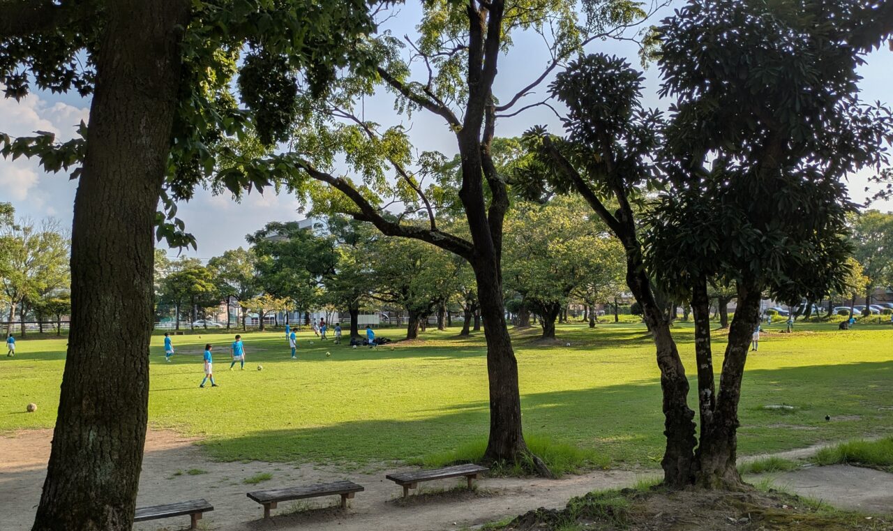 宮崎中央公園　文化の森