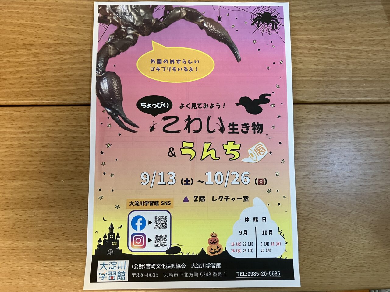 2025年大淀川学習館よく見てみよう!ちょっぴりこわい生き物&うんち展