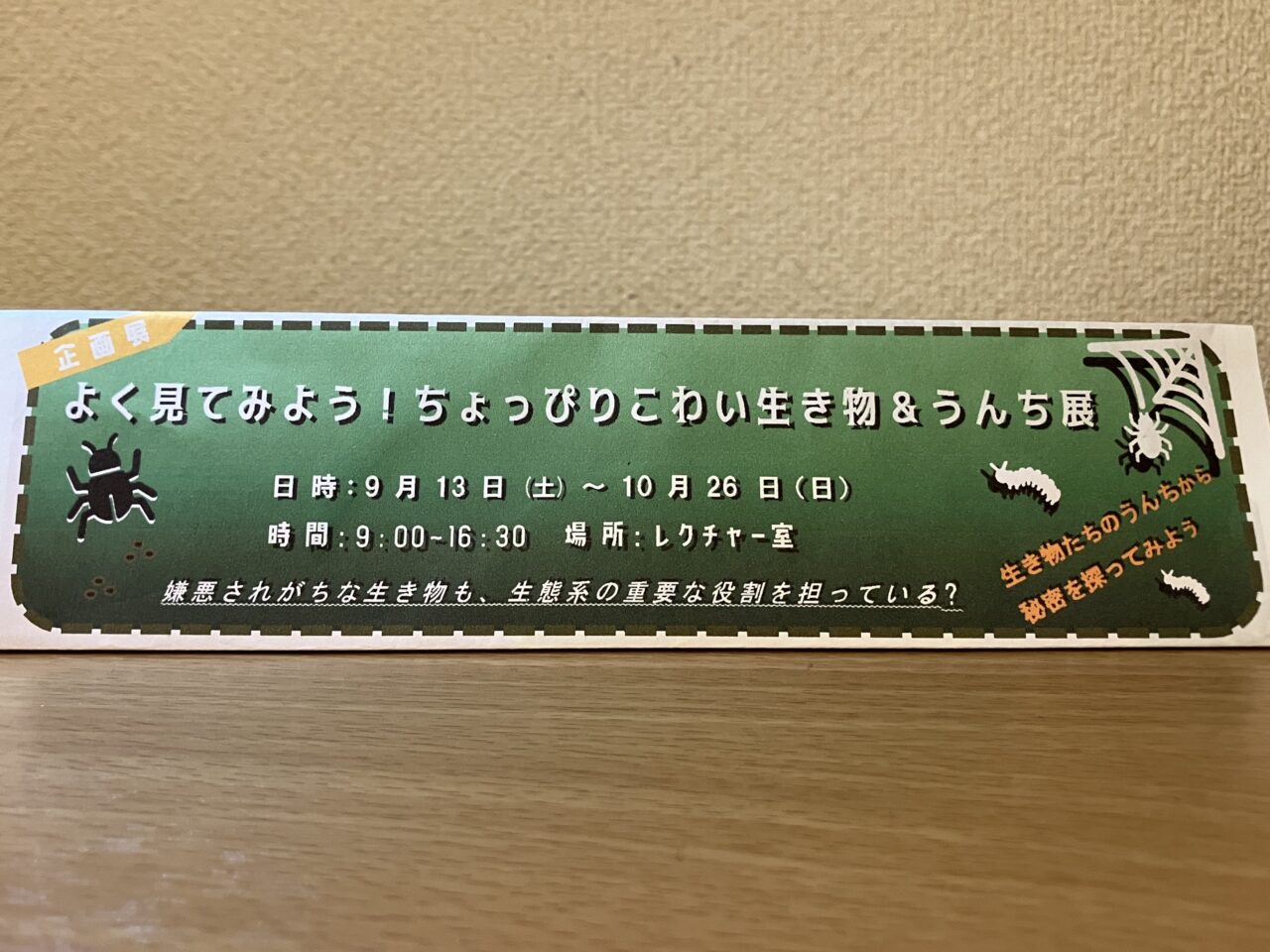 2025年大淀川学習館イベント案内