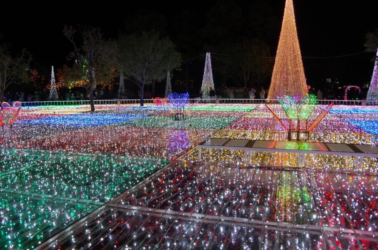 2025年フローランテ宮崎イルミネーション・フラワーガーデン