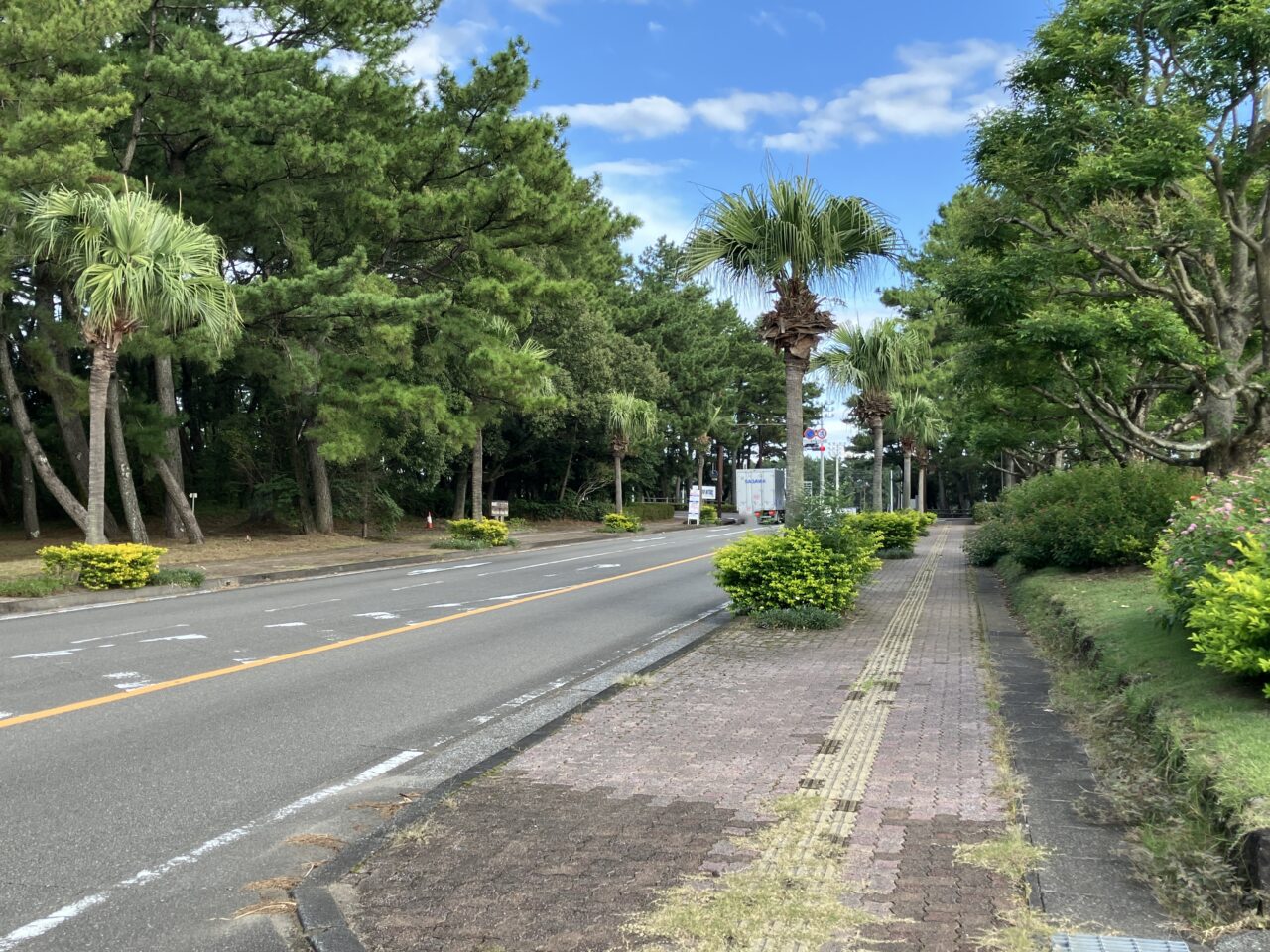 2025年フローランテ宮崎周辺