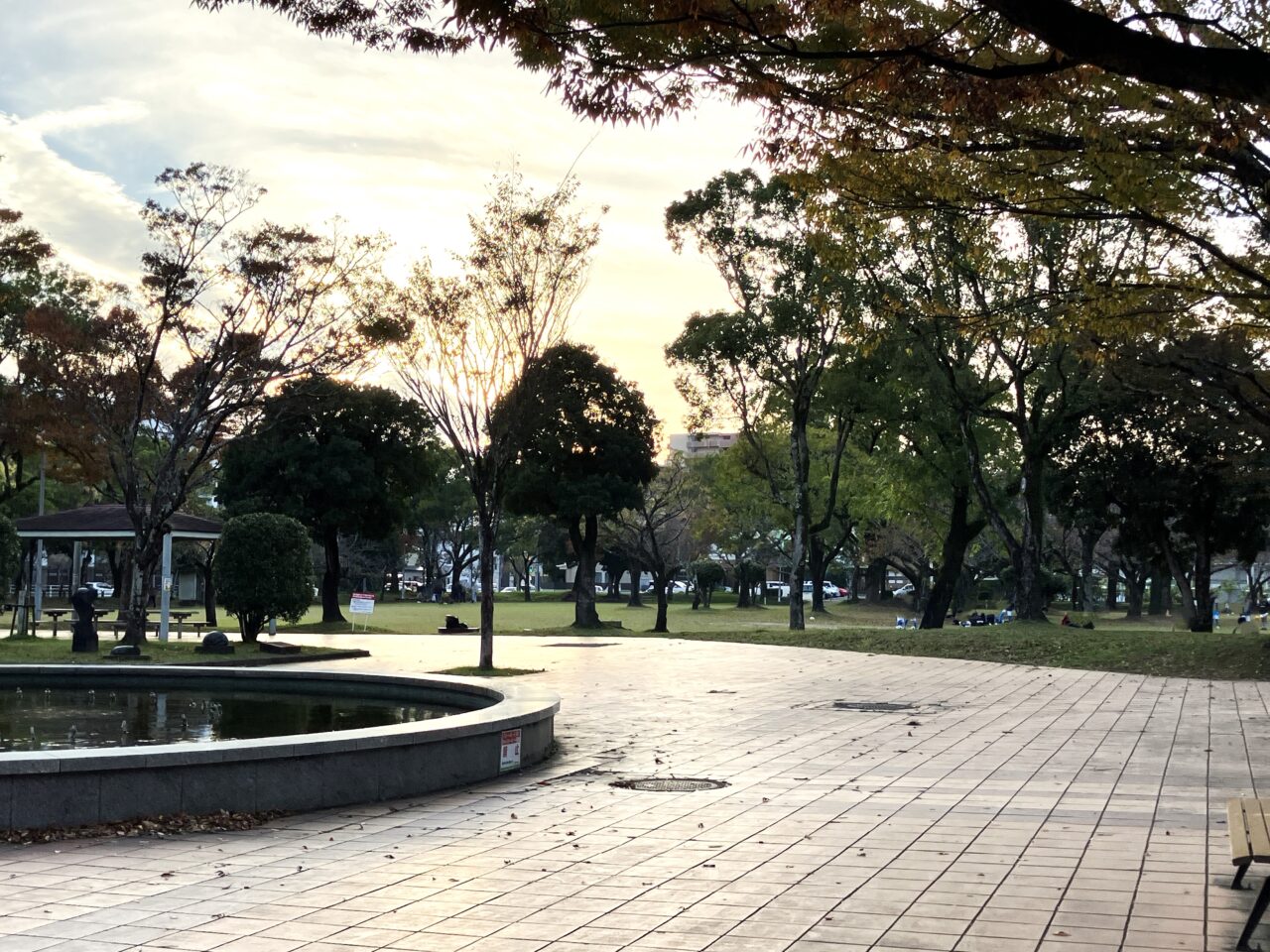 2025年宮崎中央公園芝生広場