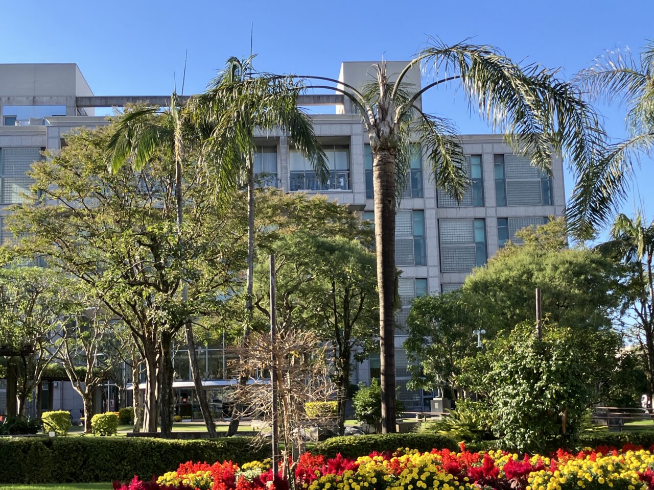 宮崎市民プラザ東側