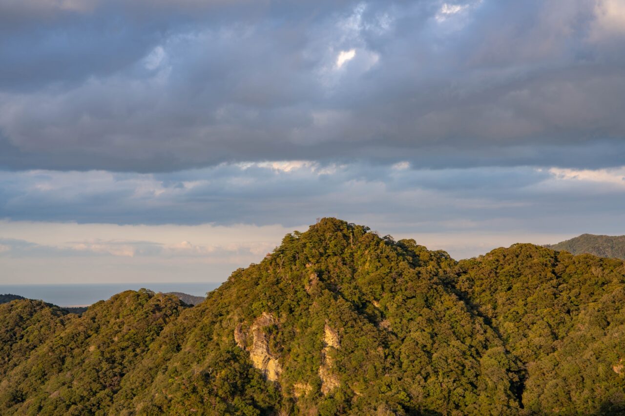 椿山森林公園からの景色