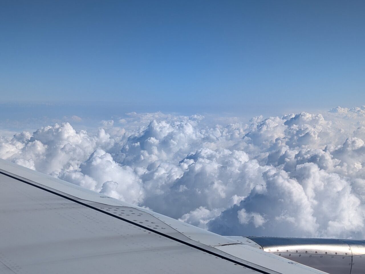 飛行機からの景色