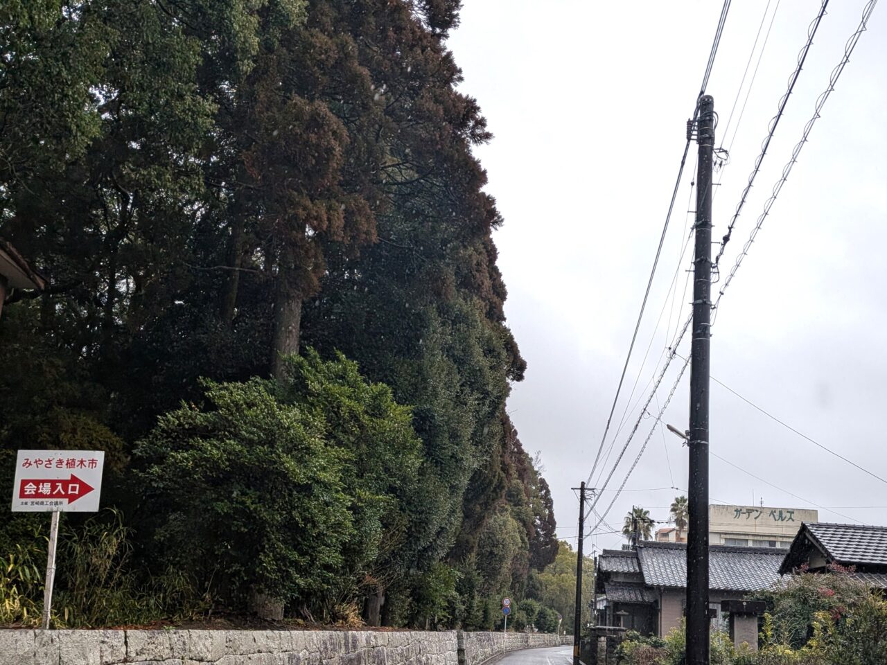 2026年春のみやざき植木市経路