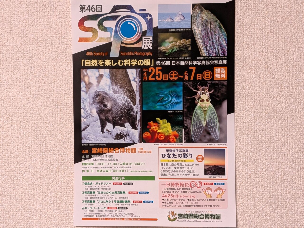 2026年宮崎県総合博物館第46回SSP展